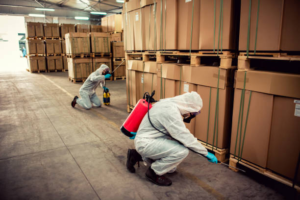 Best Best Pest Control Near Me  in Canton Valley, CT
