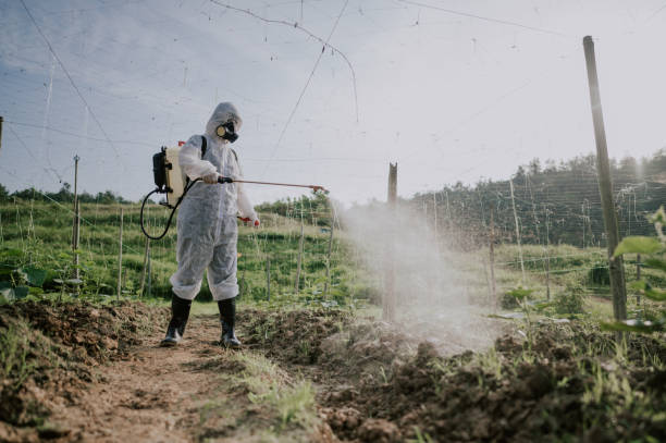 Best Pest Prevention Services  in Canton Valley, CT