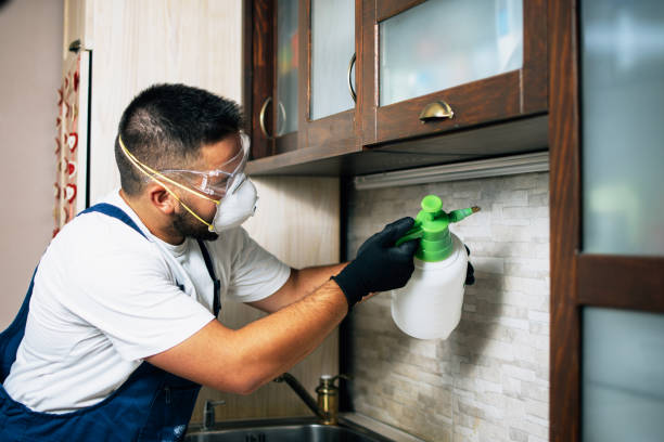 Flea Control Services in Canton Valley, CT