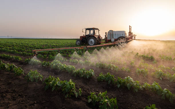 Best Pest Control Cost  in Canton Valley, CT