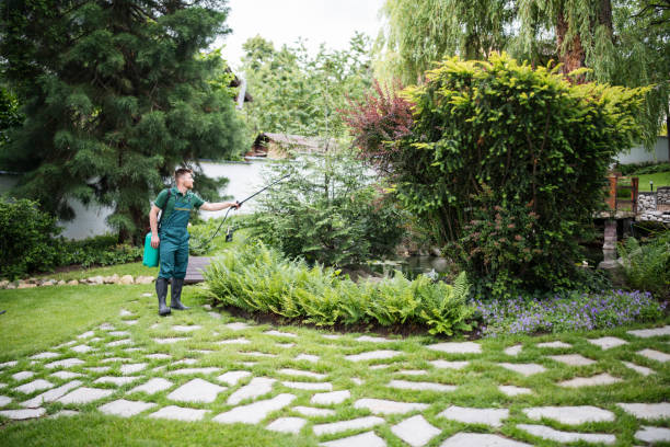 Pest Control for Restaurants in Canton Valley, CT
