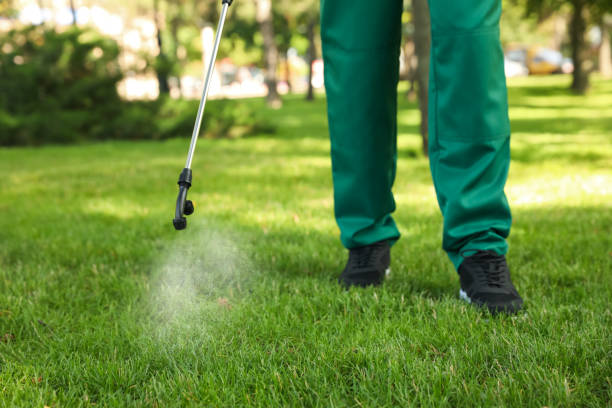 Best Mosquito Control Services  in Canton Valley, CT