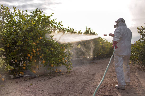 Best Pest Control for Businesses  in Canton Valley, CT