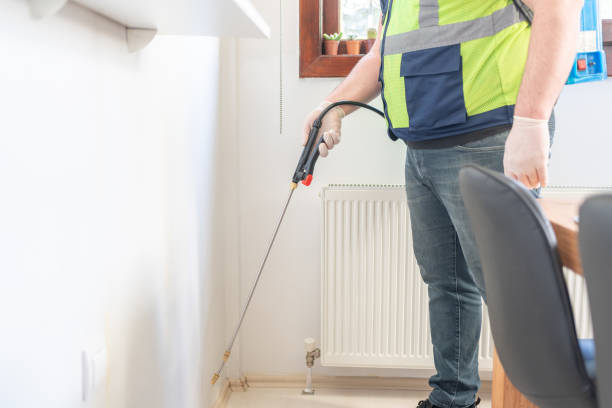 Trusted Canton Valley, CT Pest Control Experts