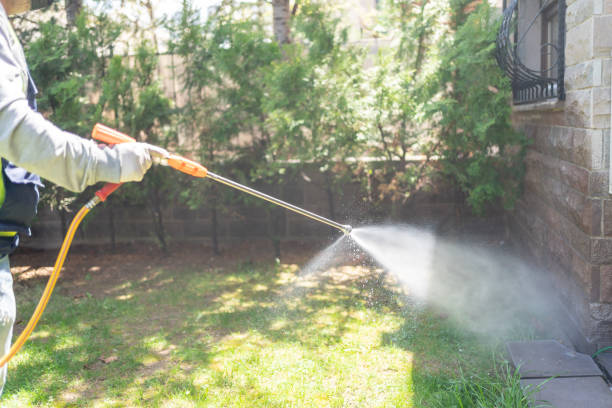 Best Flea Control Services  in Canton Valley, CT