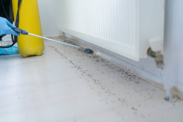 Best Wildlife Control Services  in Canton Valley, CT