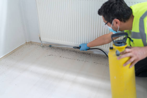 Pest Prevention Services in Canton Valley, CT