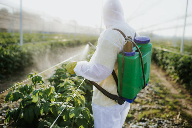  Canton Valley, CT Pest Control Pros